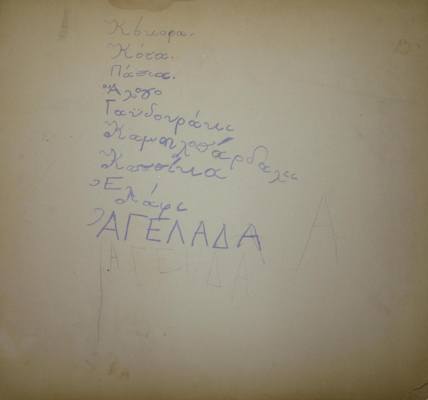 Οπισθόφυλλο